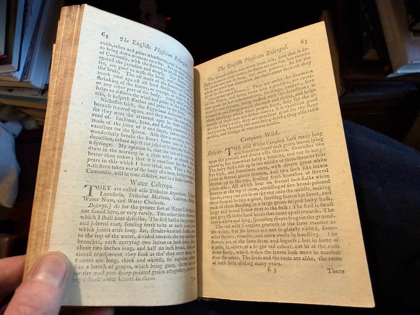 c1780 Culpepper : English Physician : Medicines Made of English Herbs