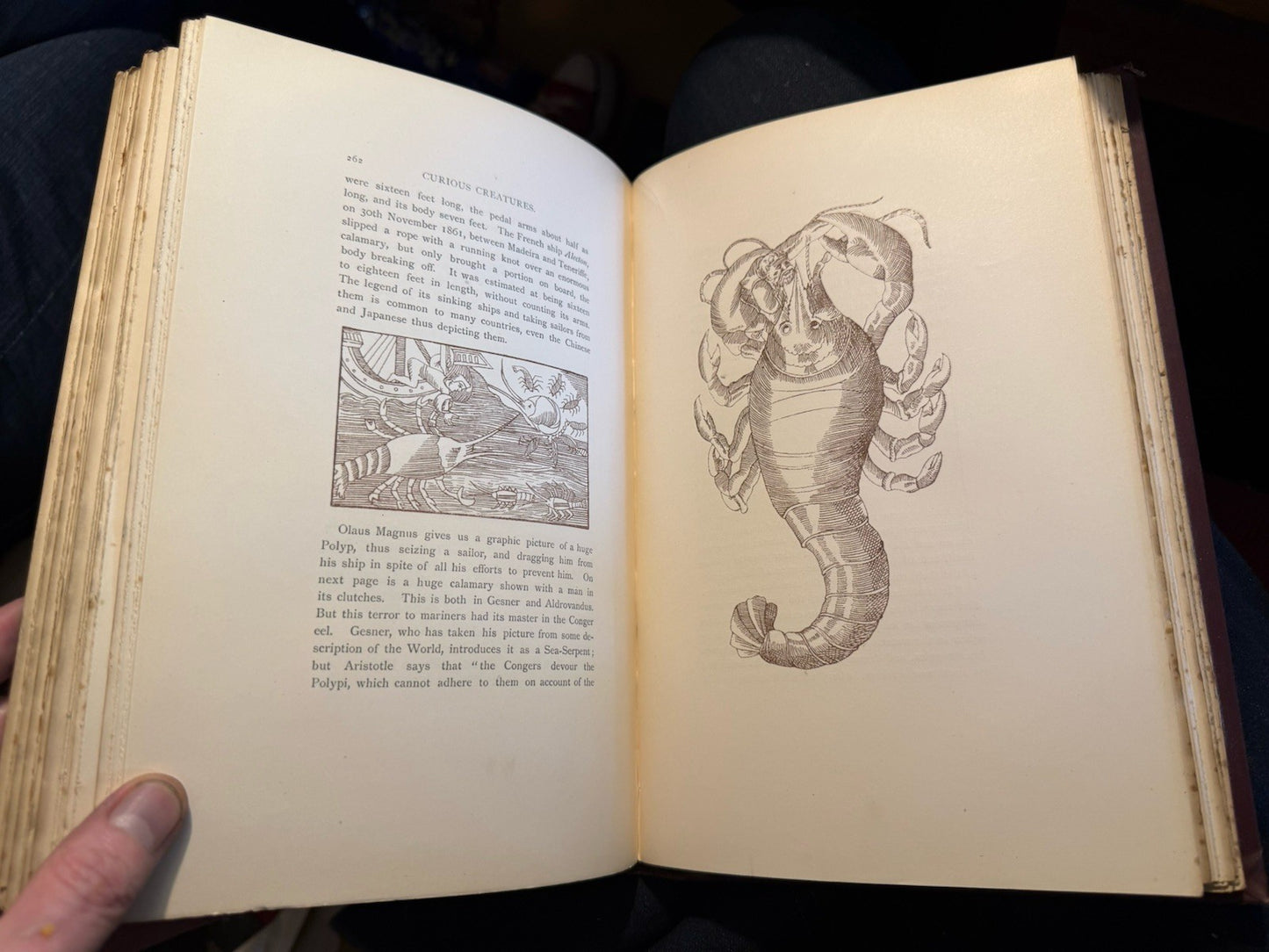 1890 Ashton's Curious Creatures in Zoology (Edwin Morgan / Claud Lambton) Myths