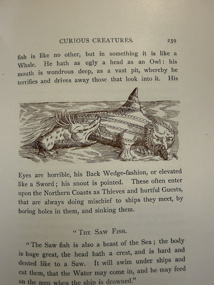 1890 Ashton's Curious Creatures in Zoology (Edwin Morgan / Claud Lambton) Myths