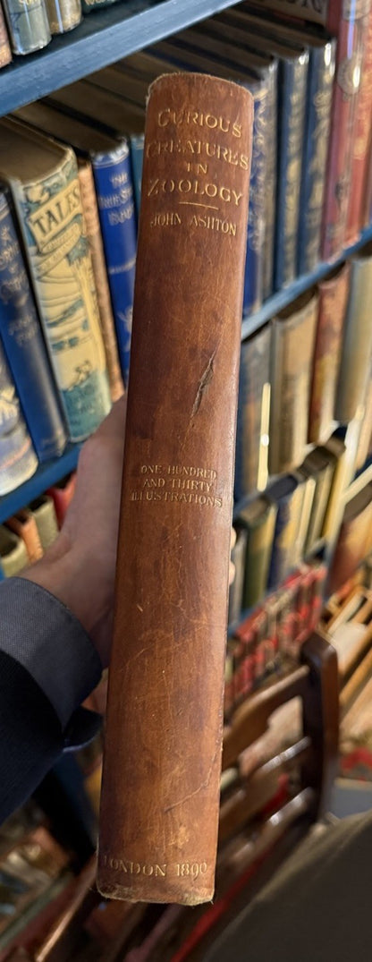 1890 Ashton's Curious Creatures in Zoology (Edwin Morgan / Claud Lambton) Myths