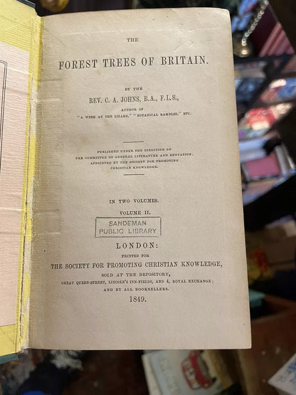 1847 THE FOREST TREES OF BRITAIN Rev C A Johns TWO VOLUMES Illustrated