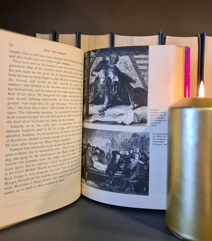 Dead & Buried? The Horrible History of Bodysnatching, N. Adams: Hardback: 1st Ed