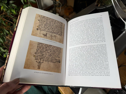 Studies on the Book of Deer : Katherine Forsyth