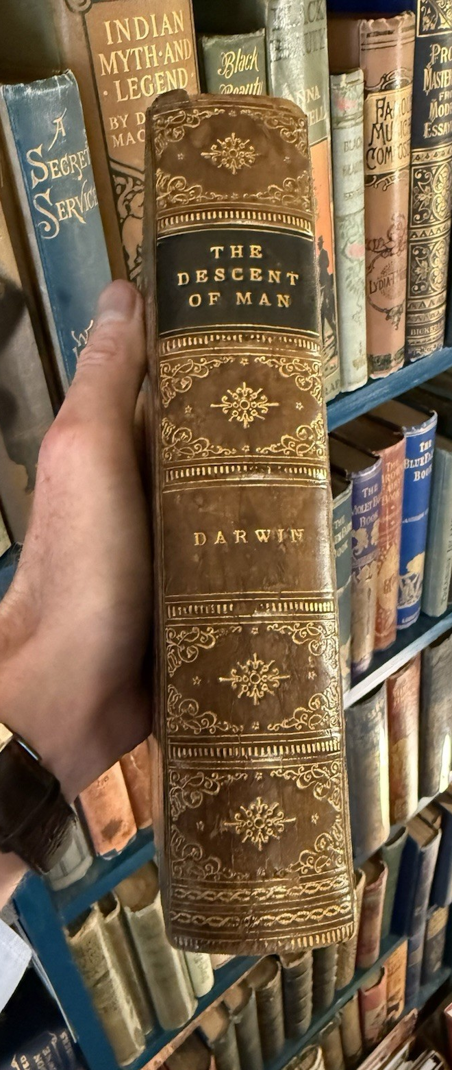 The Descent of Man : Charles Darwin : Leather Binding : Second Edition 1883