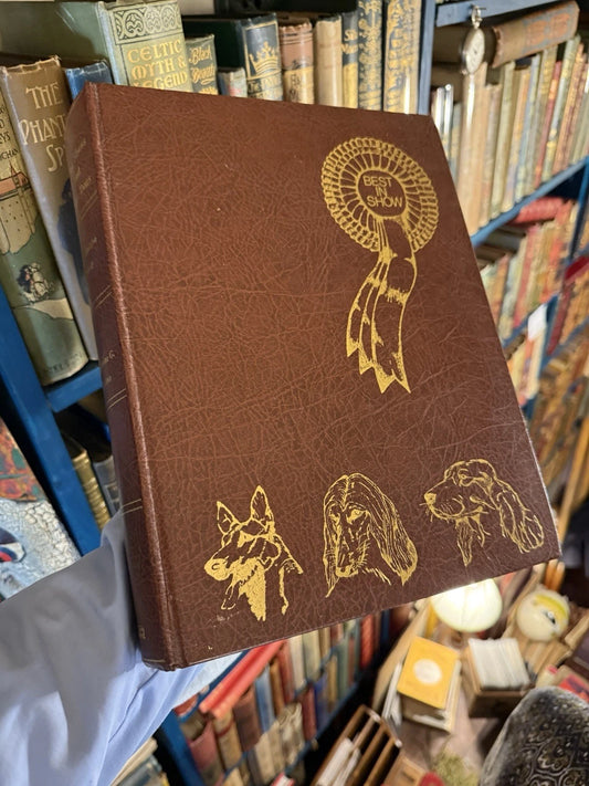 Dog Shows and Show Dogs by Catherine G. Sutton (Hardback, 1980) 1st Edition