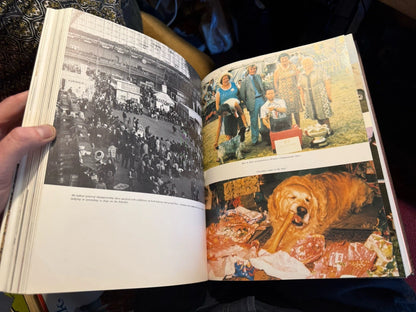 Dog Shows and Show Dogs by Catherine G. Sutton (Hardback, 1980) 1st Edition