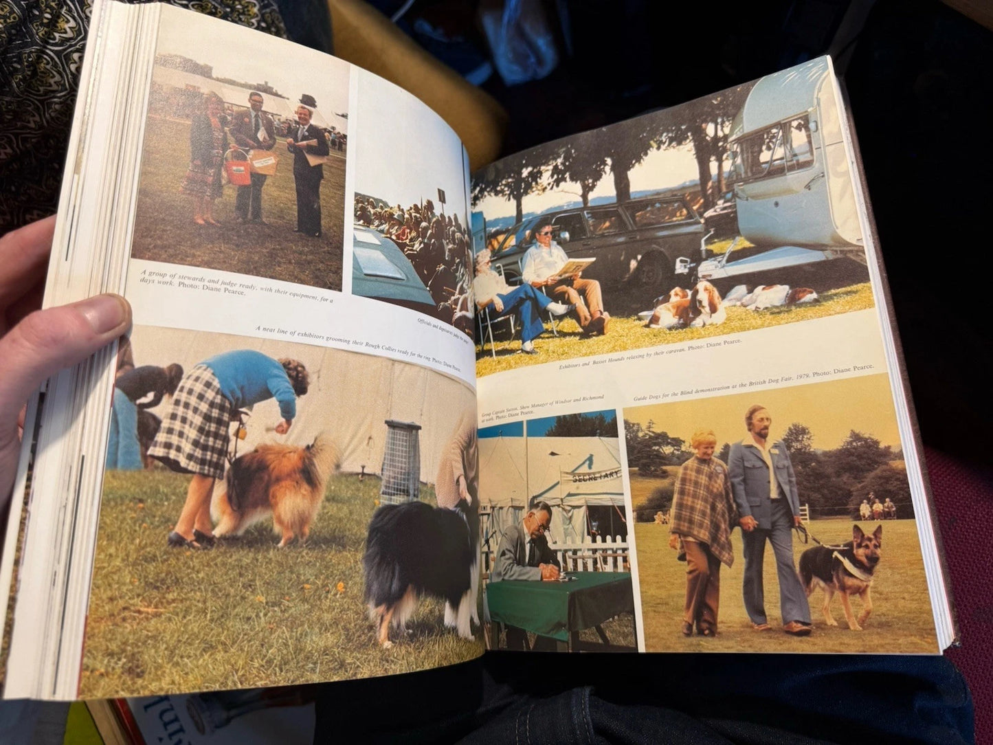 Dog Shows and Show Dogs by Catherine G. Sutton (Hardback, 1980) 1st Edition