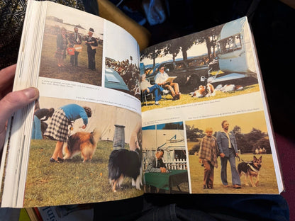 Dog Shows and Show Dogs by Catherine G. Sutton (Hardback, 1980) 1st Edition