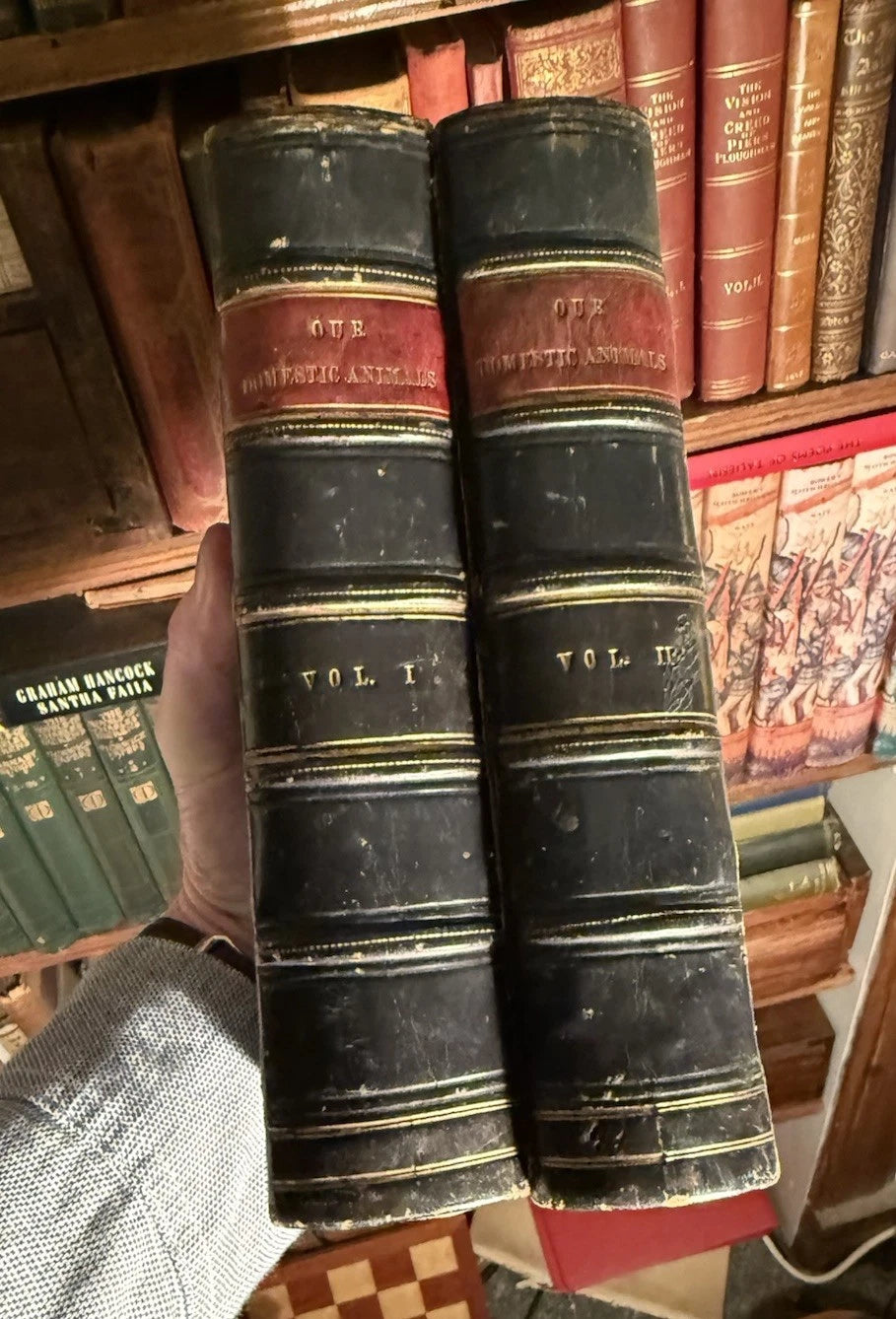 c1870 Our Domestic Animals in Health and Disease (2 Vols) Antique Veterinary