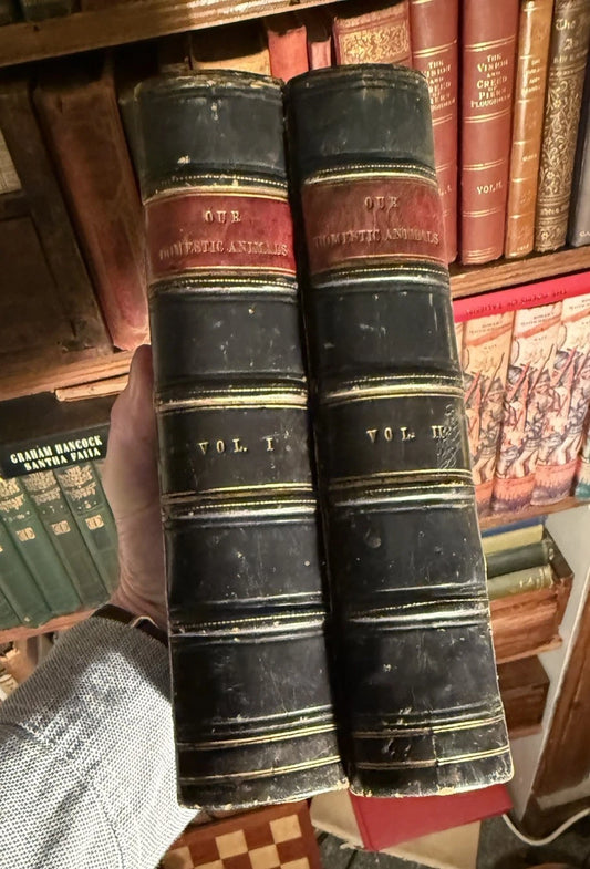 c1870 Our Domestic Animals in Health and Disease (2 Vols) Antique Veterinary