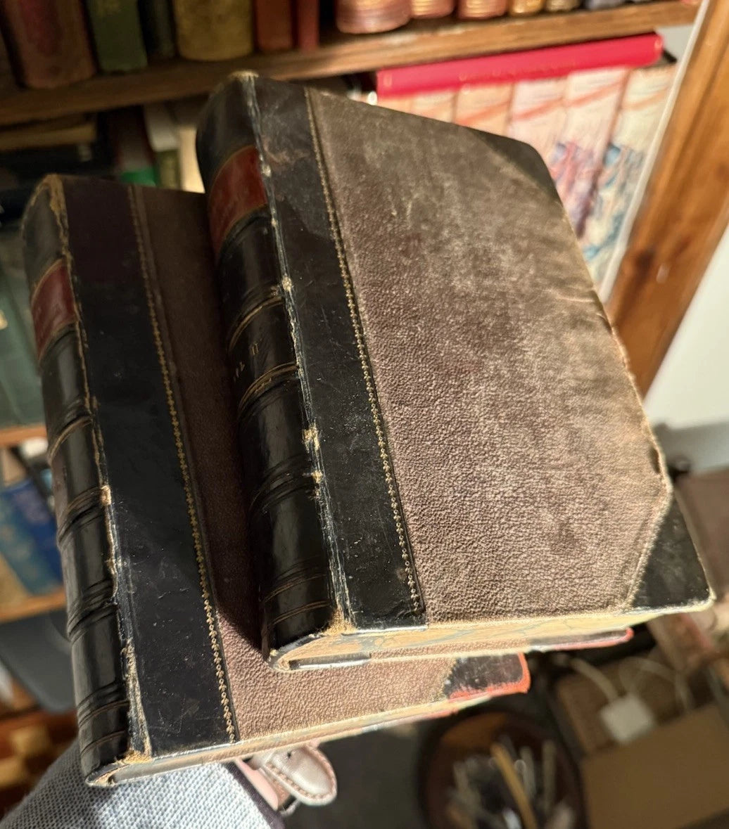 c1870 Our Domestic Animals in Health and Disease (2 Vols) Antique Veterinary