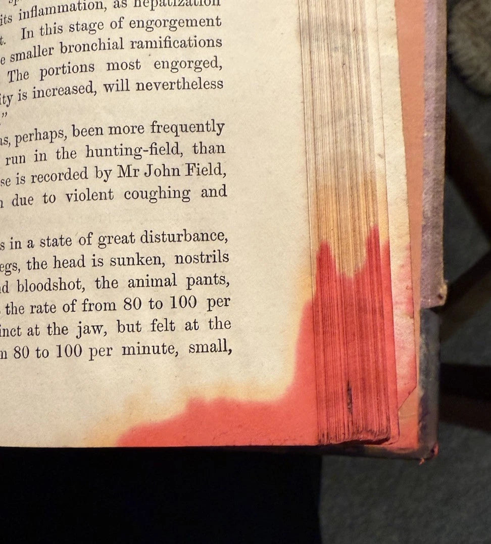 c1870 Our Domestic Animals in Health and Disease (2 Vols) Antique Veterinary