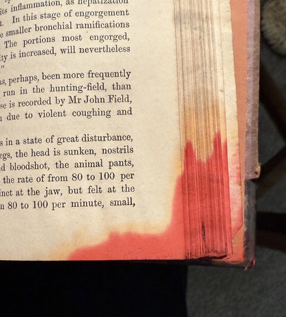 c1870 Our Domestic Animals in Health and Disease (2 Vols) Antique Veterinary