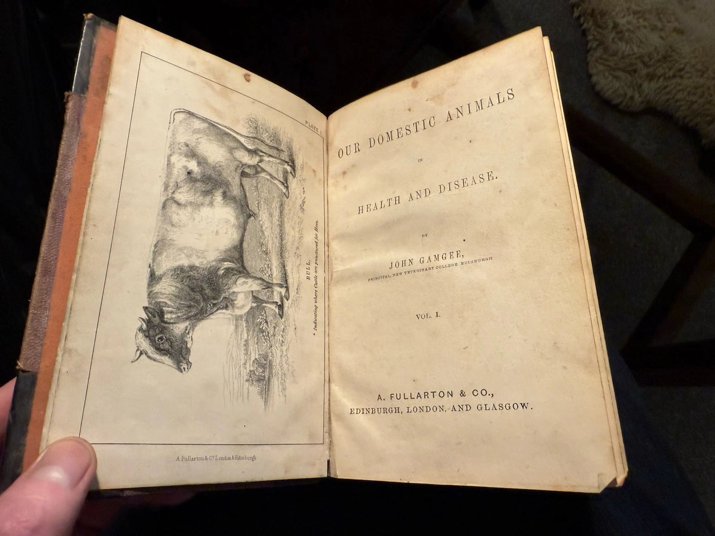 c1870 Our Domestic Animals in Health and Disease (2 Vols) Antique Veterinary