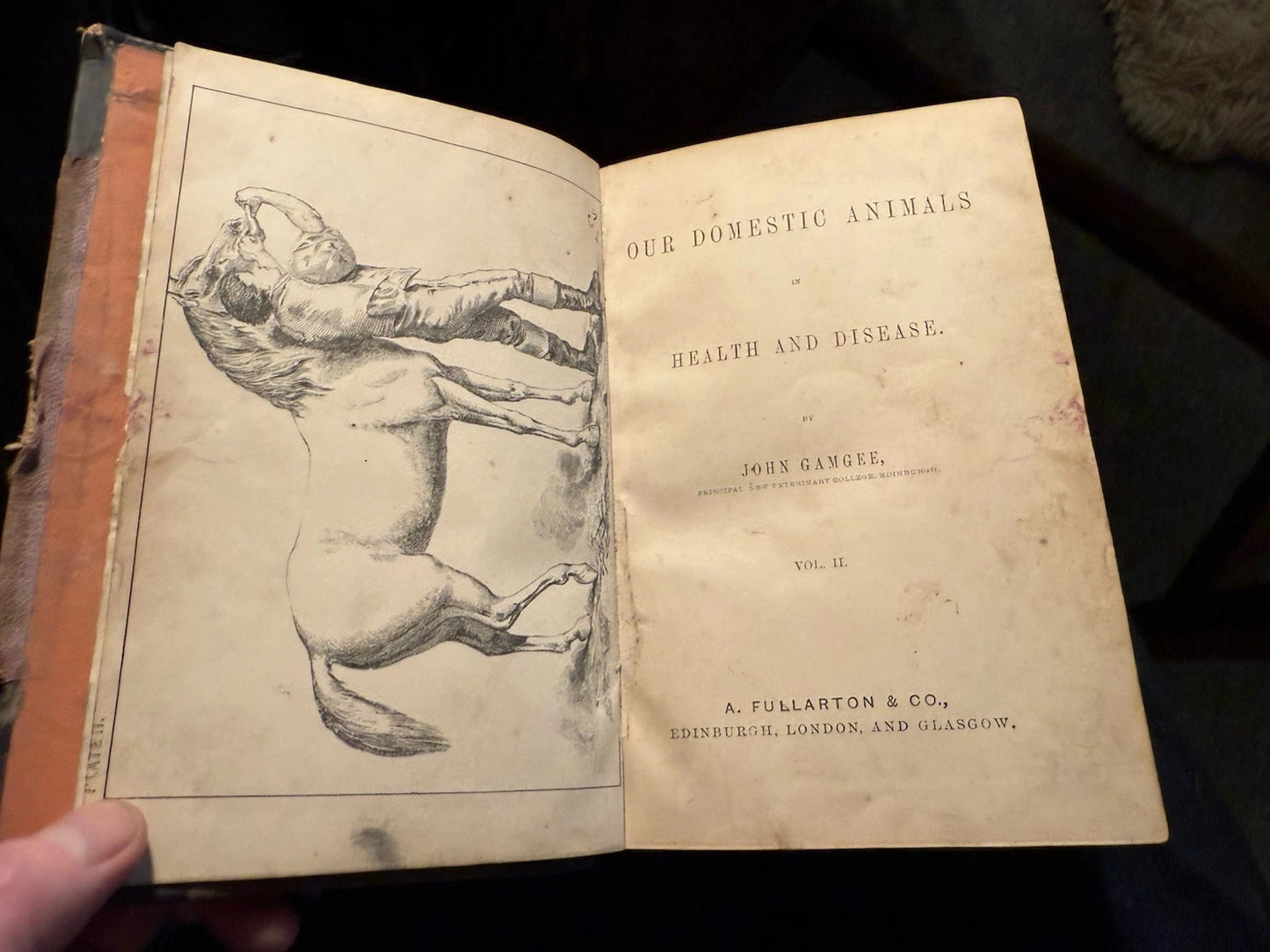 c1870 Our Domestic Animals in Health and Disease (2 Vols) Antique Veterinary