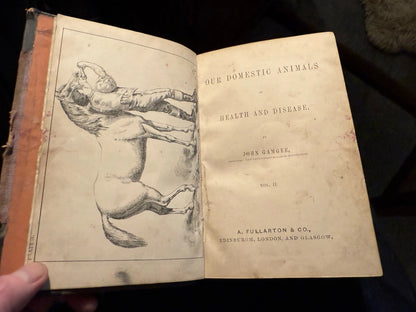 c1870 Our Domestic Animals in Health and Disease (2 Vols) Antique Veterinary