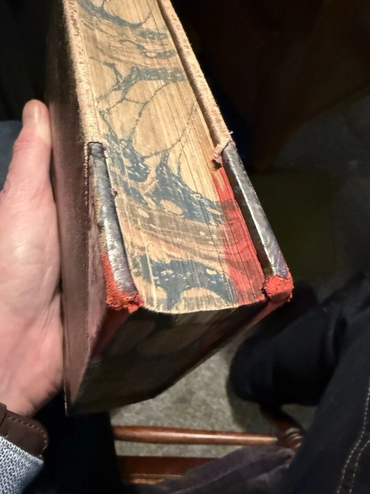 c1870 Our Domestic Animals in Health and Disease (2 Vols) Antique Veterinary