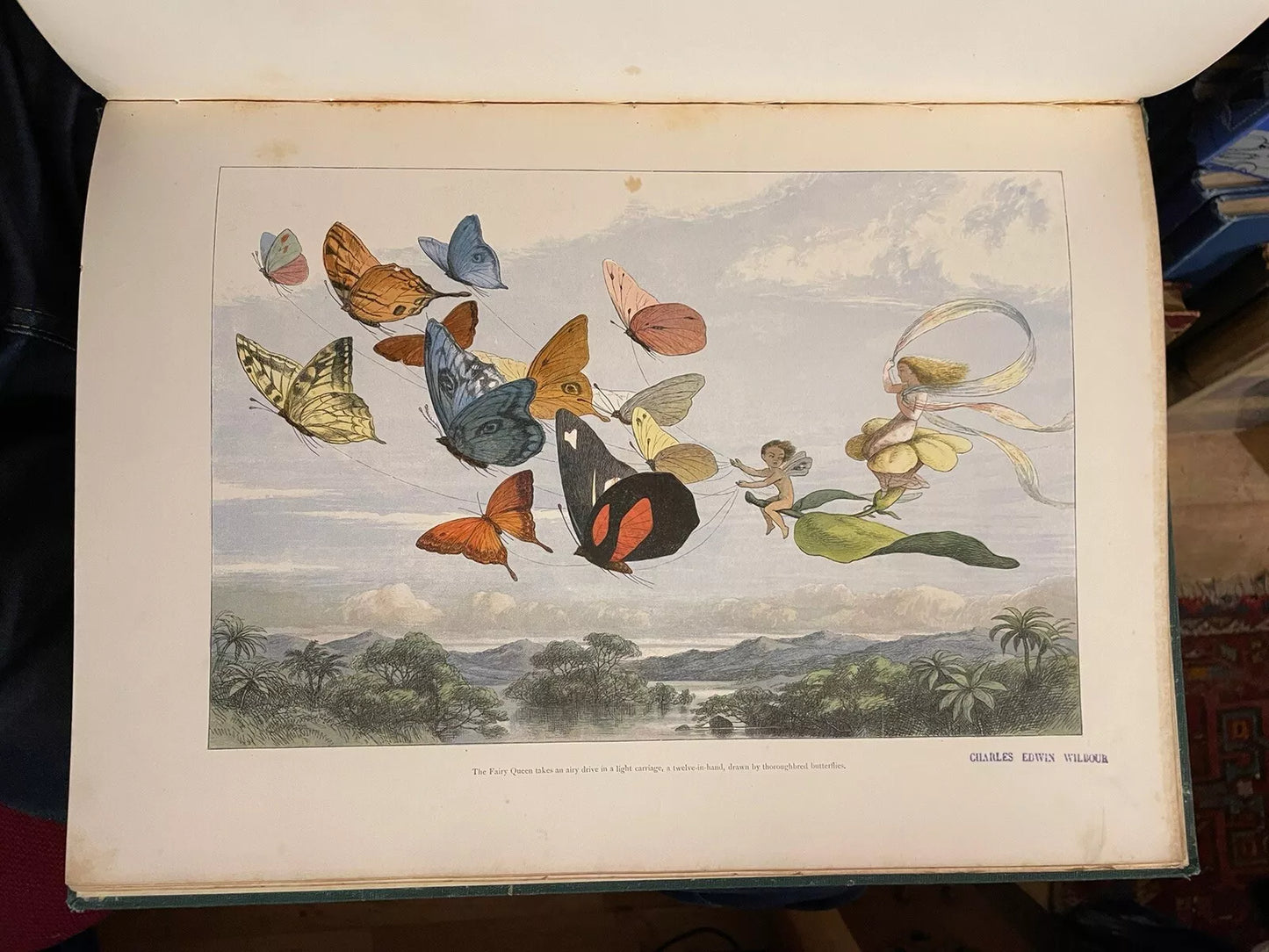 1870 In Fairyland : A Series of Pictures from the Elf-World : Richard Doyle