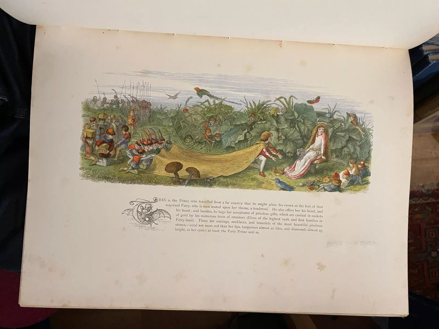 1870 In Fairyland : A Series of Pictures from the Elf-World : Richard Doyle