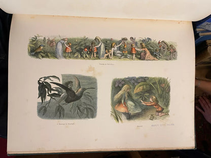 1870 In Fairyland : A Series of Pictures from the Elf-World : Richard Doyle