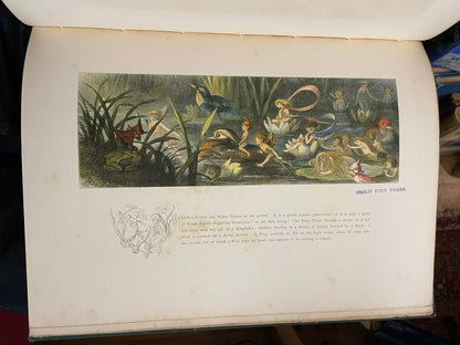 1870 In Fairyland : A Series of Pictures from the Elf-World : Richard Doyle