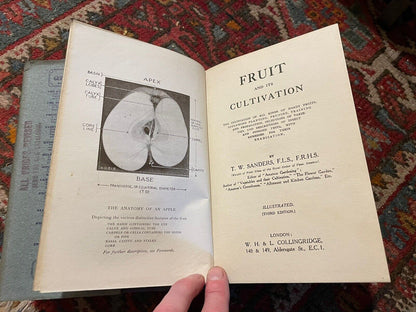 1920 Fruit and it's Cultivation : T W Sanders : Illustrated : Scarce Dust Jacket