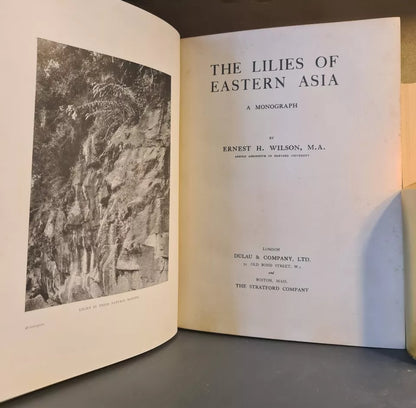 The Lilies of Eastern Asia, E. H. Wilson: Hardback: 1929: Botany: Lilium