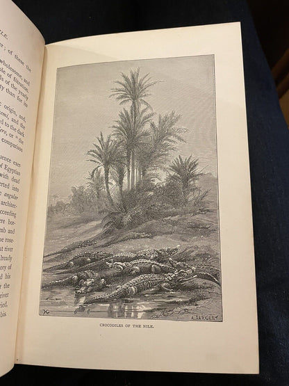 1885 Egypt Past and Present (100 Illustrations) British Occupation : Adams