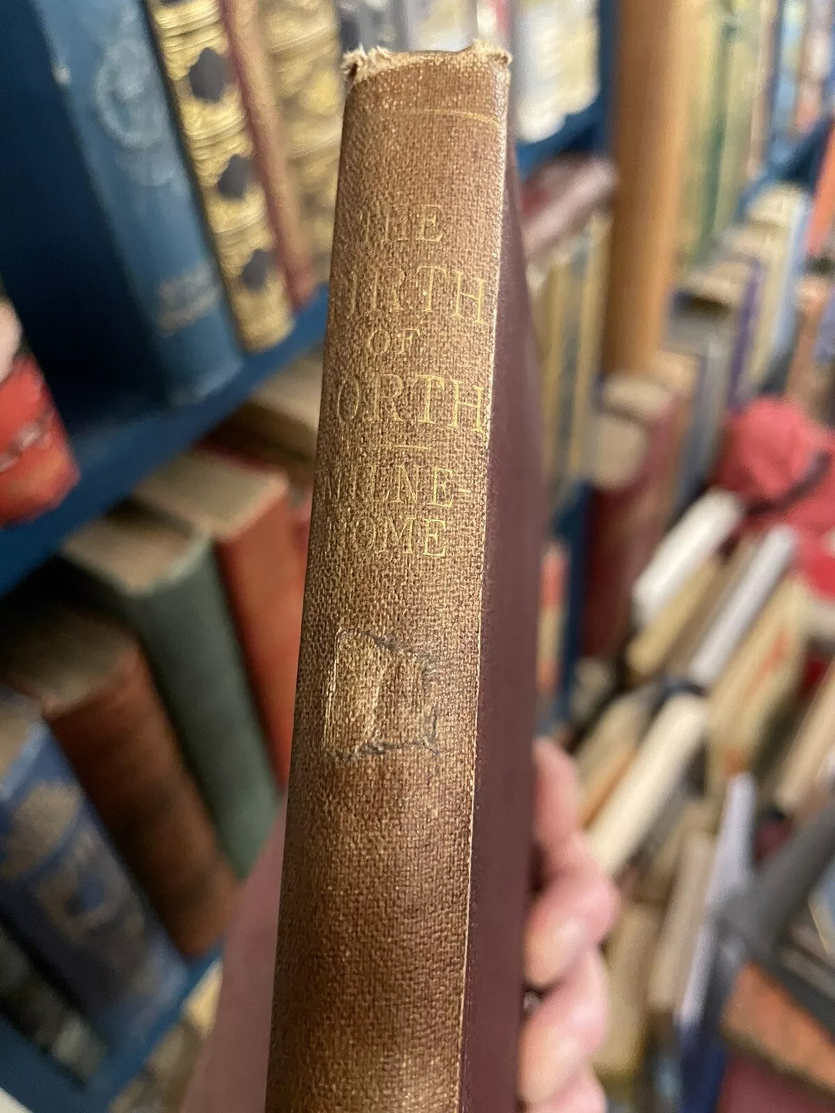 The Estuary of the Forth & Adjoining Districts Viewed Geologically 1871