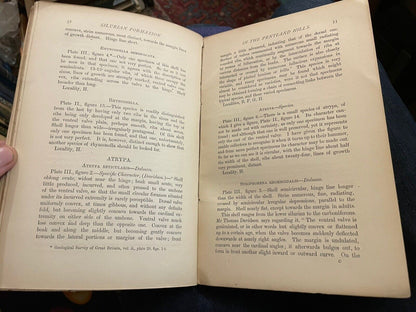 1865 On the Silurian Formation in the Pentland Hills :Edinburgh Geology