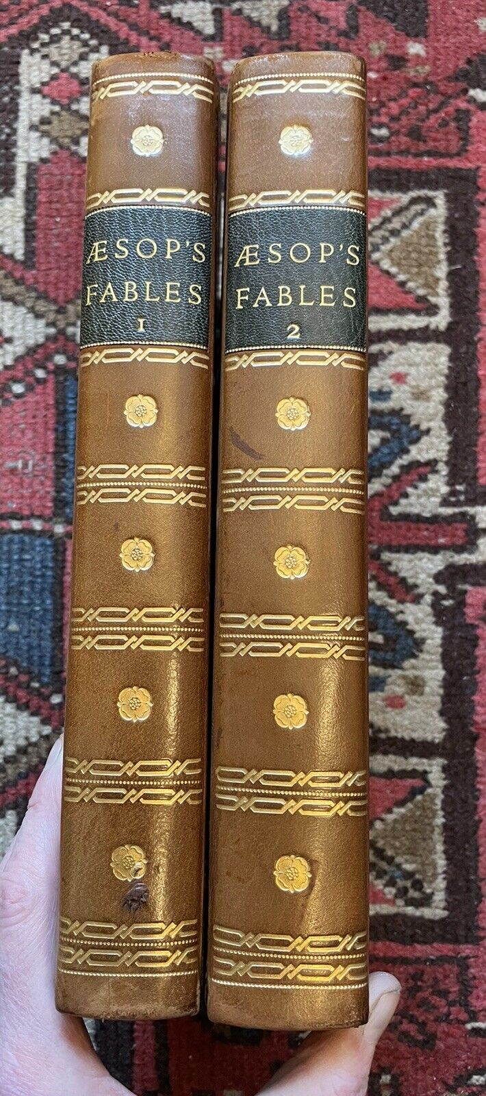 1793 Fables of Aesop (2 Vols) With 112 Engravings : Smart Leather Bindings