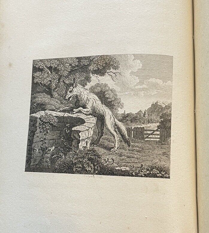 1793 Fables of Aesop (2 Vols) With 112 Engravings : Smart Leather Bindings