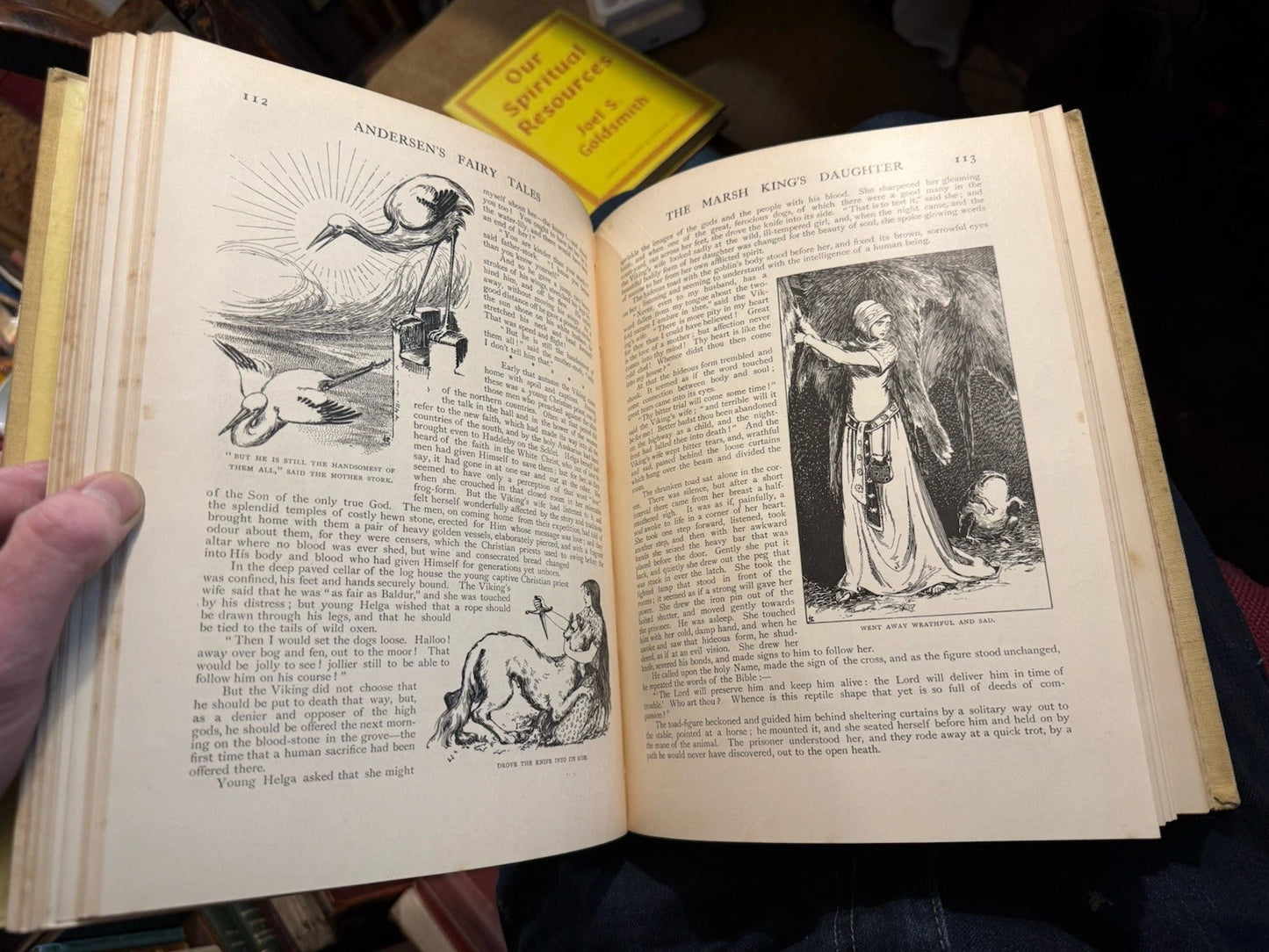 [1899] The Fairy Tales of Hans Christian Andersen : Upwards of 400 Illustrations