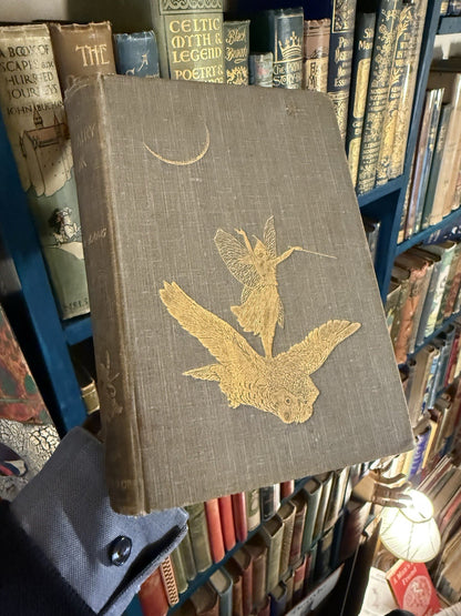 1900 The Grey Fairy Book : Andrew Lang : 1st Edition : Tales VGC