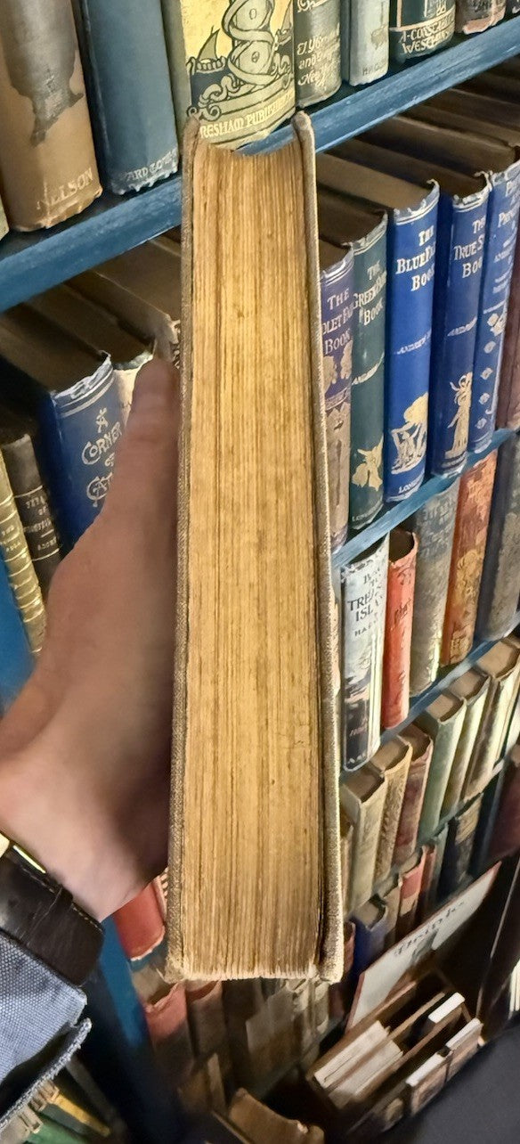 1900 The Grey Fairy Book : Andrew Lang : 1st Edition : Tales VGC