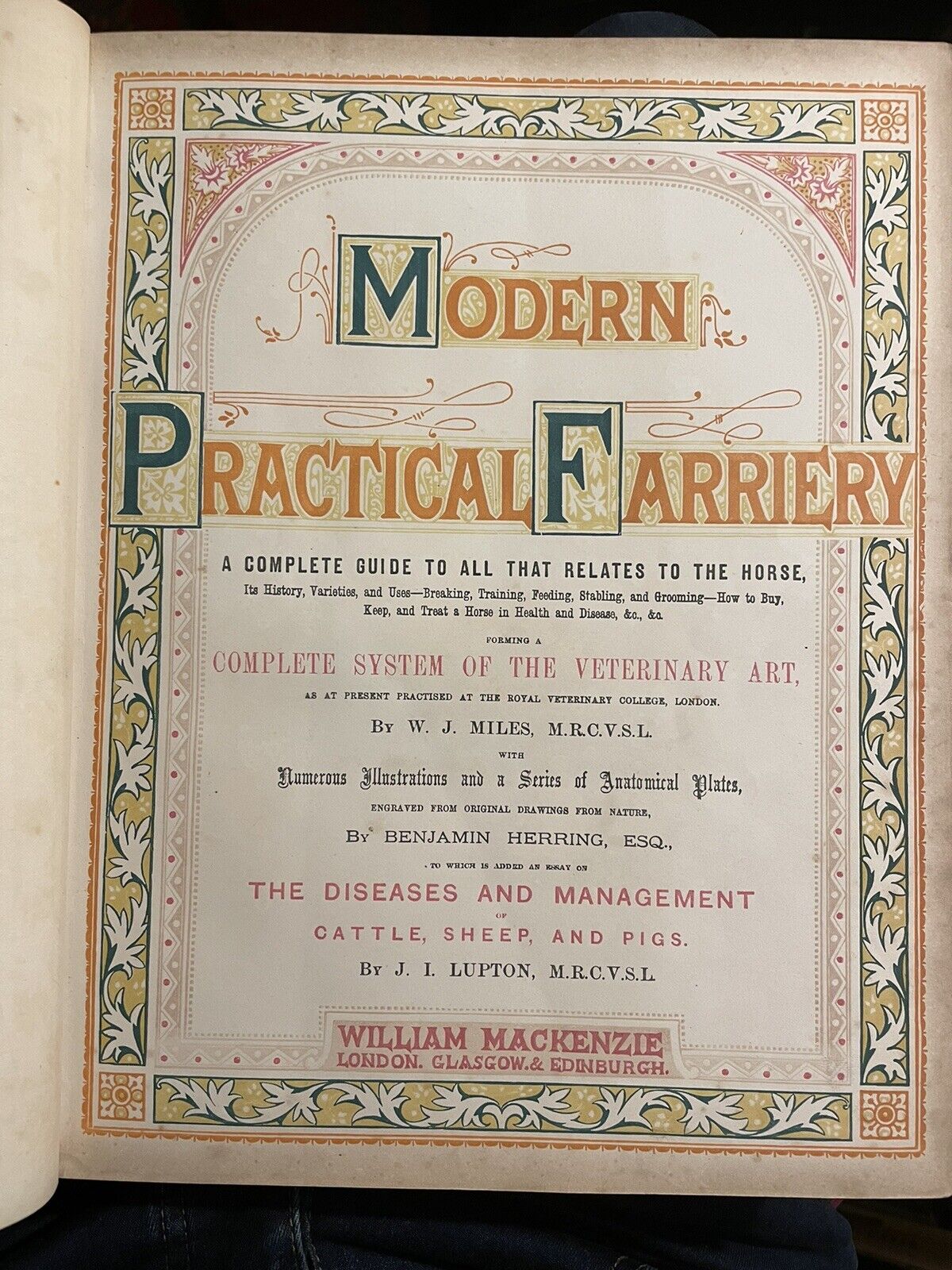 Modern Practical Farriery : Guide to the Horse : W J Miles : Colour Plates