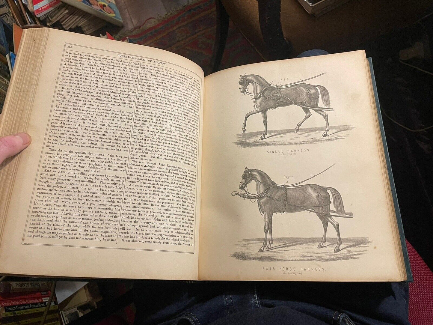 Modern Practical Farriery : Guide to the Horse : W J Miles : Colour Plates