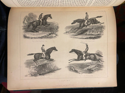 Modern Practical Farriery : Guide to the Horse : W J Miles : Colour Plates