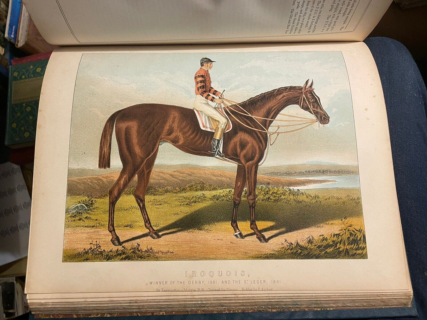 Modern Practical Farriery : Guide to the Horse : W J Miles : Colour Plates