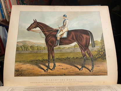 Modern Practical Farriery : Guide to the Horse : W J Miles : Colour Plates