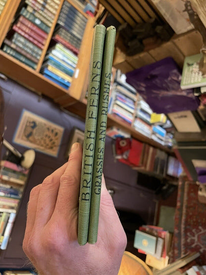 Grasses & Rushes + British Ferns : How to Identify Them : J H Crabtree : Plants