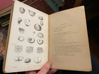 1865 On the Silurian Formation in the Pentland Hills :Edinburgh Geology