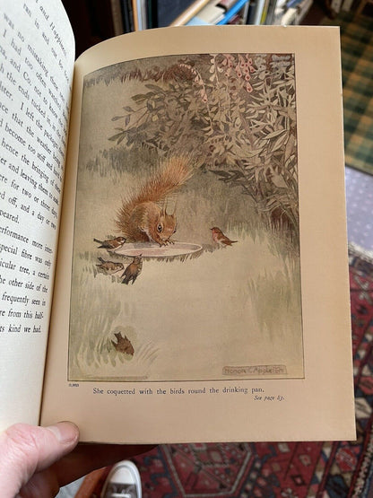 1915 More About the Squirrels : Eleanor Tyrrell : Honor C Appleton : Illustrated