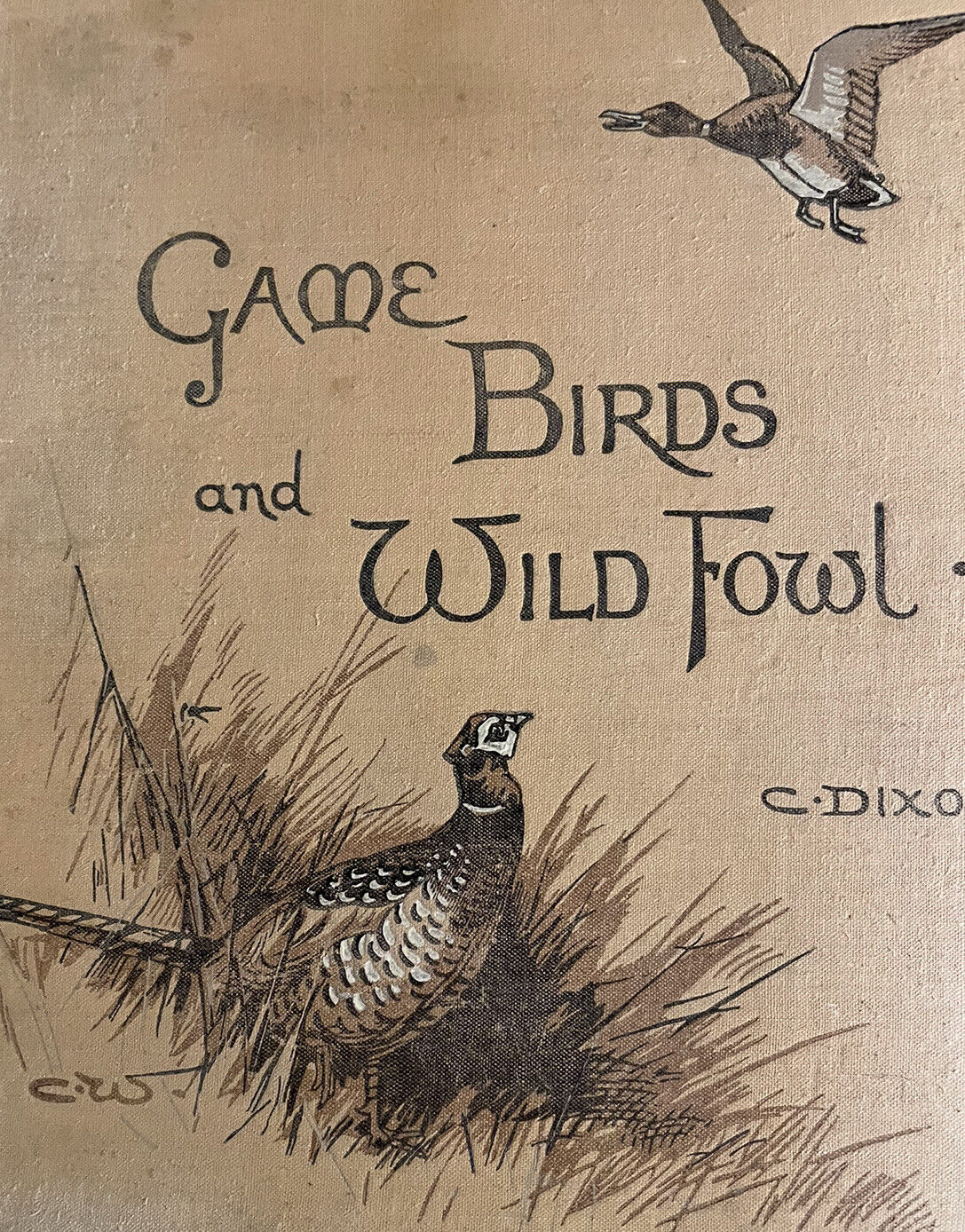 1900 GAME BIRDS & WILD FOWL of the BRITISH ISLANDS : Charles Dixon COLOUR PLATES