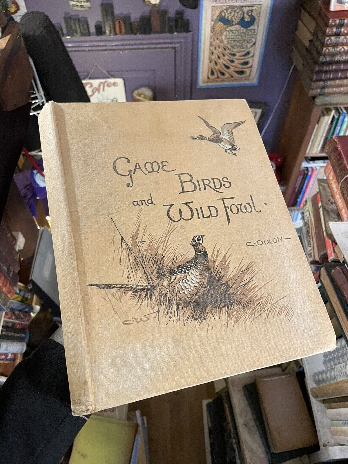 1900 GAME BIRDS & WILD FOWL of the BRITISH ISLANDS : Charles Dixon COLOUR PLATES