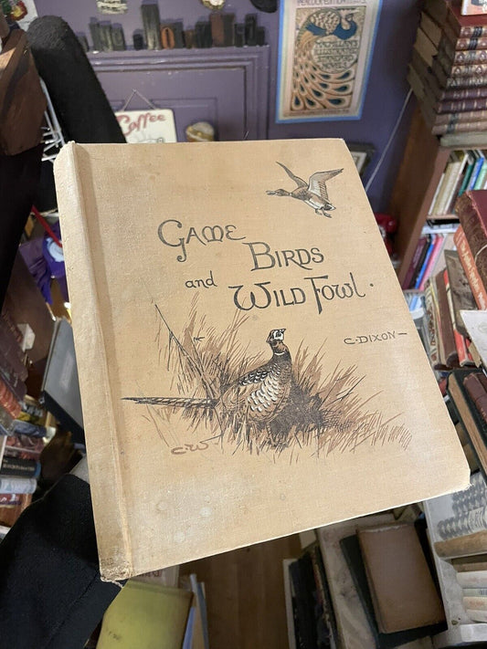 1900 GAME BIRDS & WILD FOWL of the BRITISH ISLANDS : Charles Dixon COLOUR PLATES