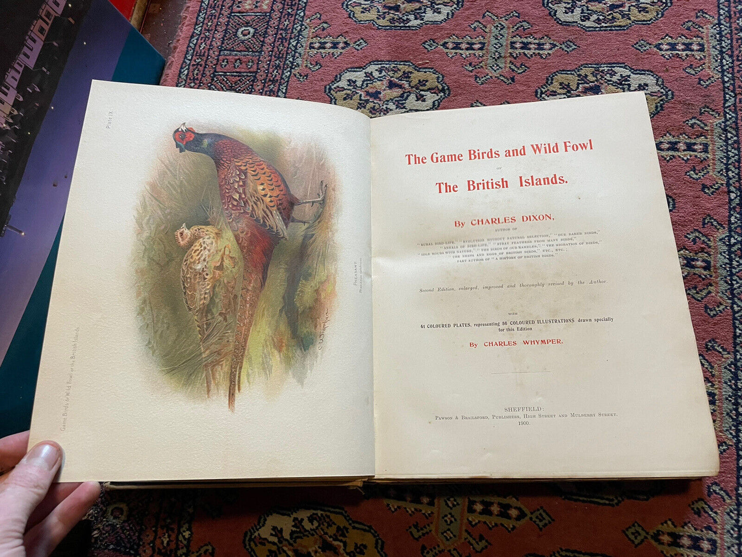 1900 GAME BIRDS & WILD FOWL of the BRITISH ISLANDS : Charles Dixon COLOUR PLATES