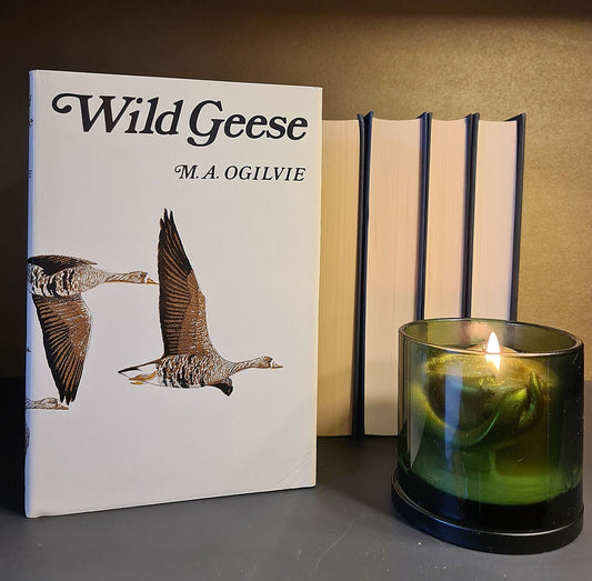 Wild Geese, M. Ogilvie: Hardback: 1st Edition: Migration: Wildfowl: Ornithology