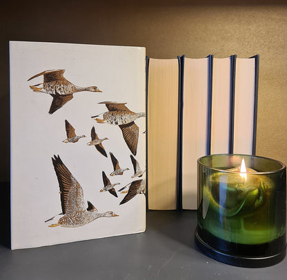 Wild Geese, M. Ogilvie: Hardback: 1st Edition: Migration: Wildfowl: Ornithology