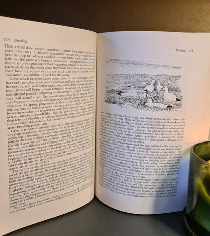 Wild Geese, M. Ogilvie: Hardback: 1st Edition: Migration: Wildfowl: Ornithology